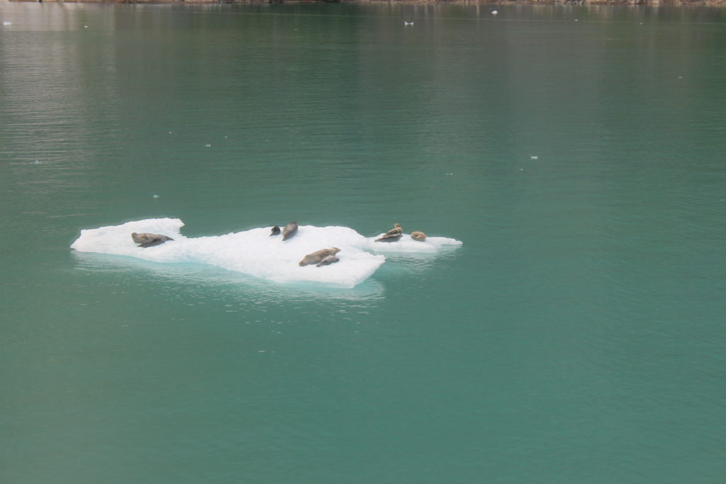 Texans in Alaska: Tracy Arm, Alaska