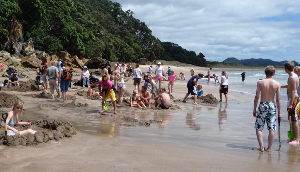 a group of people on a beach
