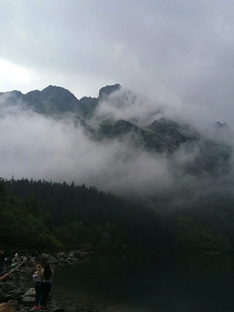 a foggy mountain with trees and a body of water