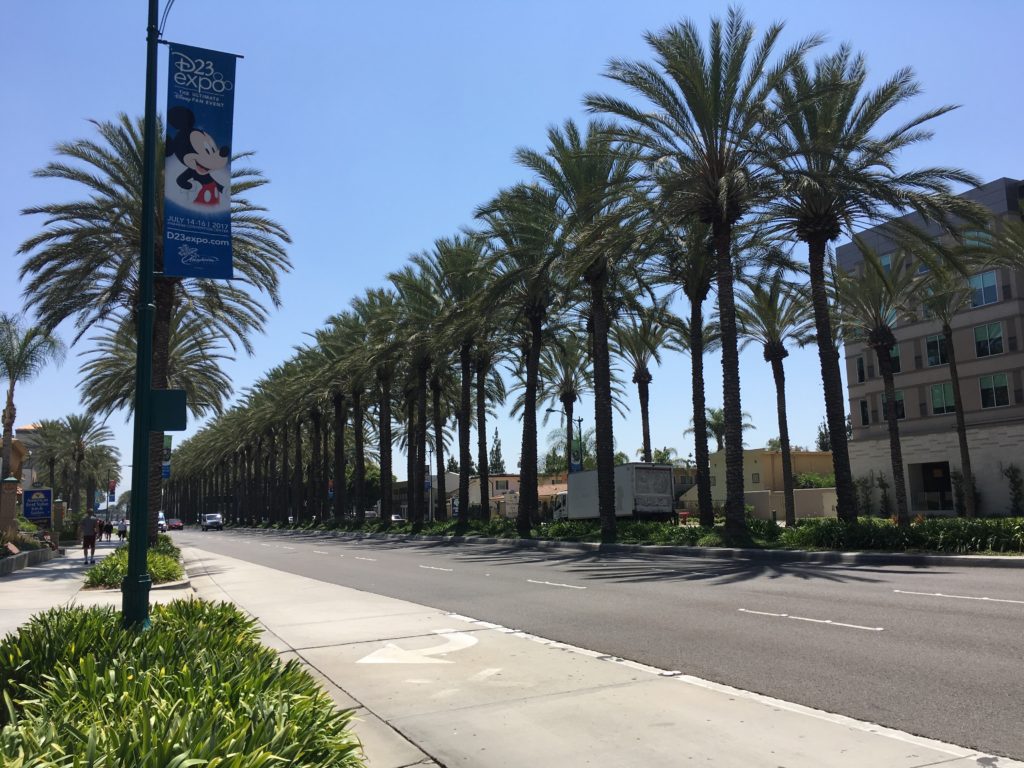 That is NOT a Sofabed! Hyatt House Anaheim Resort Review
