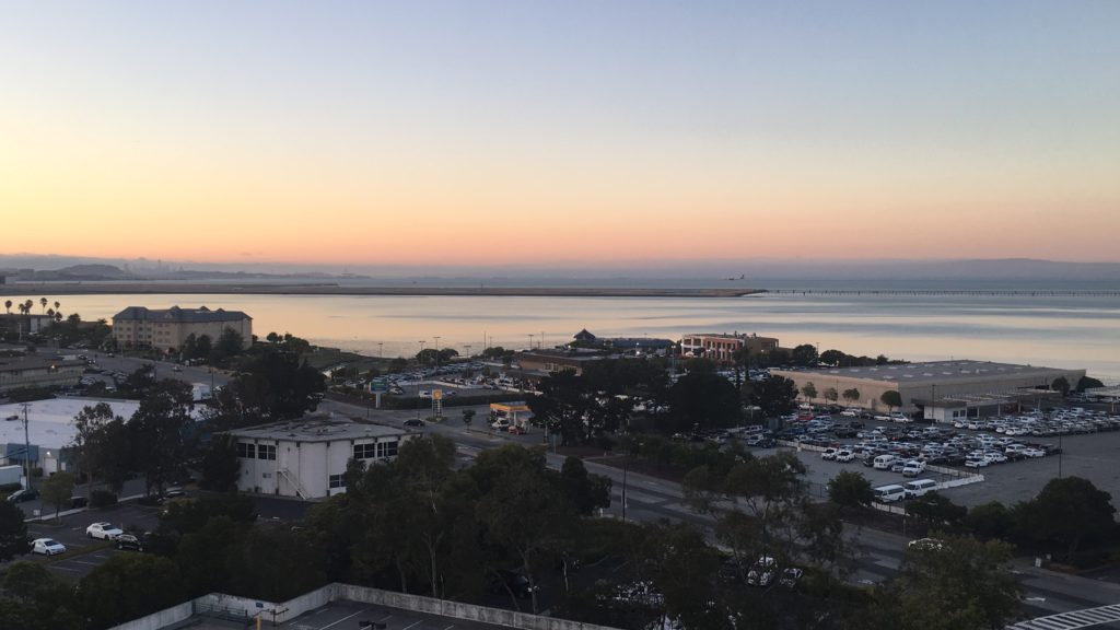Gigantic Dogs and Runway Sunsets at Hyatt Regency SFO