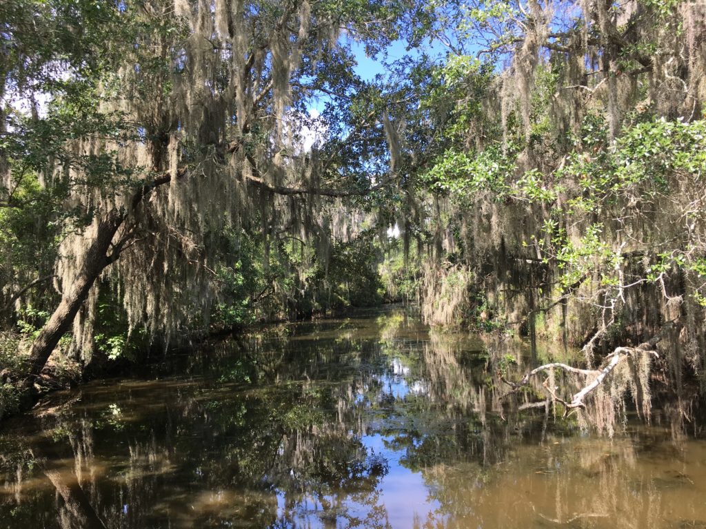 48 Kid-free Hours in NOLA plus Sheraton New Orleans Review