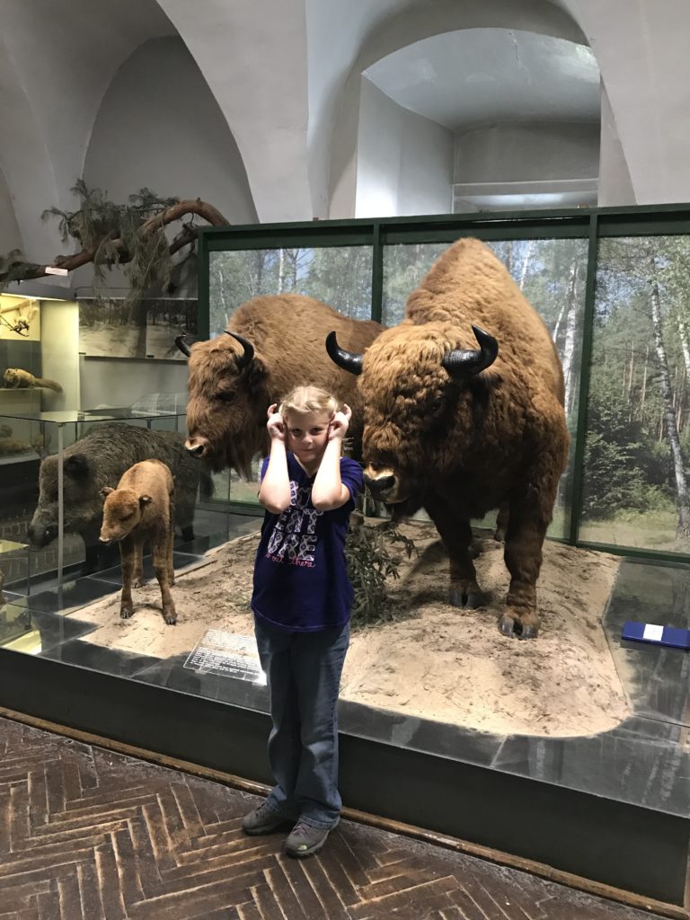 a girl standing in front of a buffalo