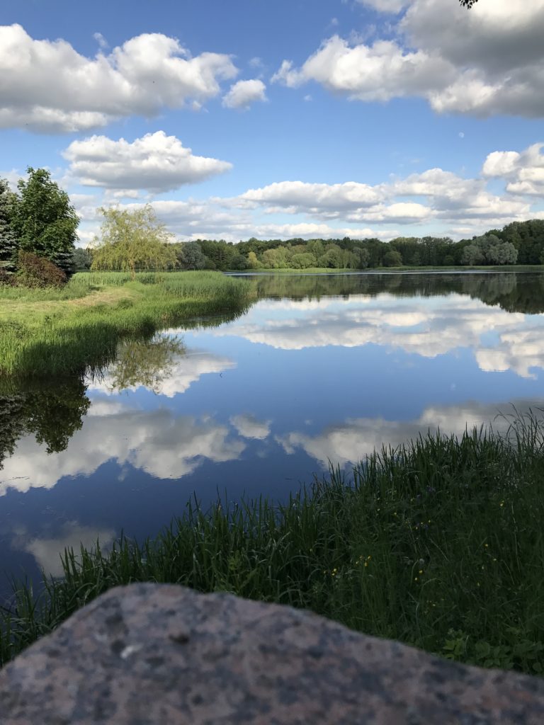 a body of water with grass and trees in the background