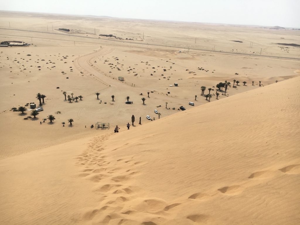 a sand dune with trees and cars