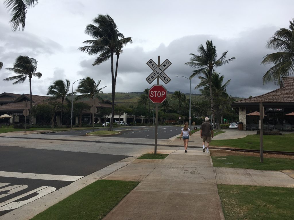 Is Disney’s Aulani Resort in Hawaii Worth the Cost?