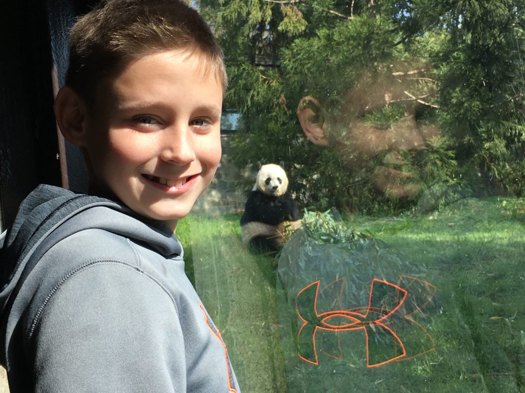 48 Hours in Washington, DC with Kids
