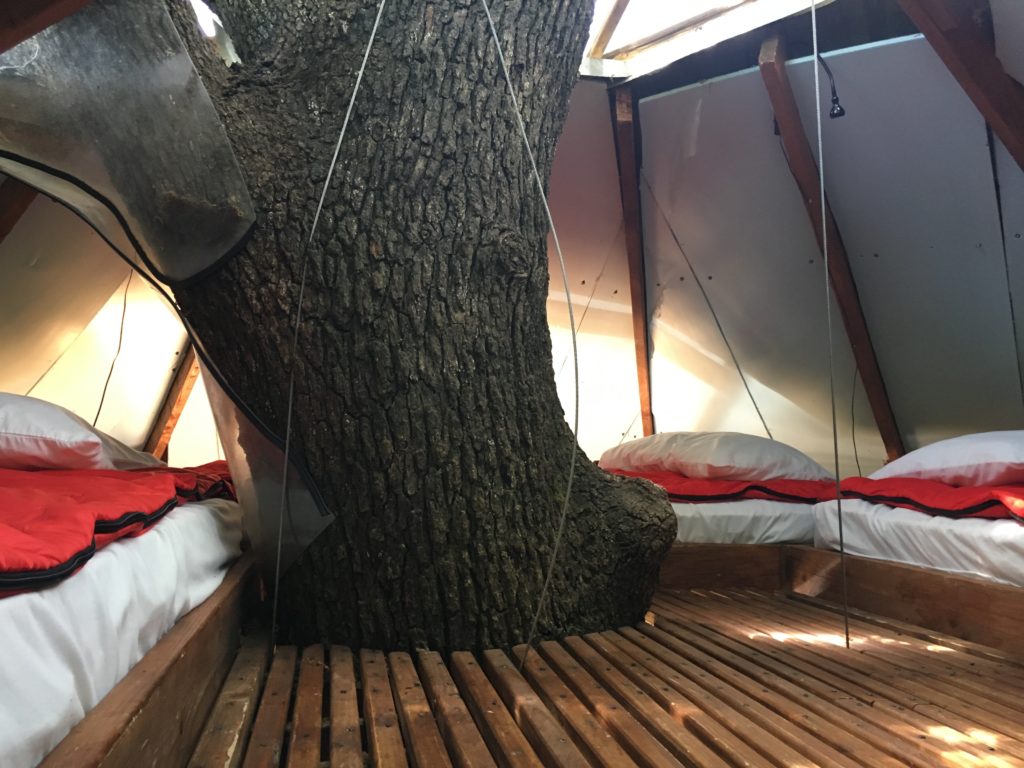 Majestic Oak Treehousoe B&B at Savannah's Meadow