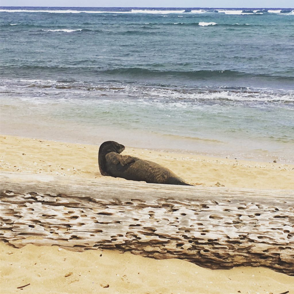 Kauai: Waipouli Beach Resort Review (Using Chase Ultimate Rewards)