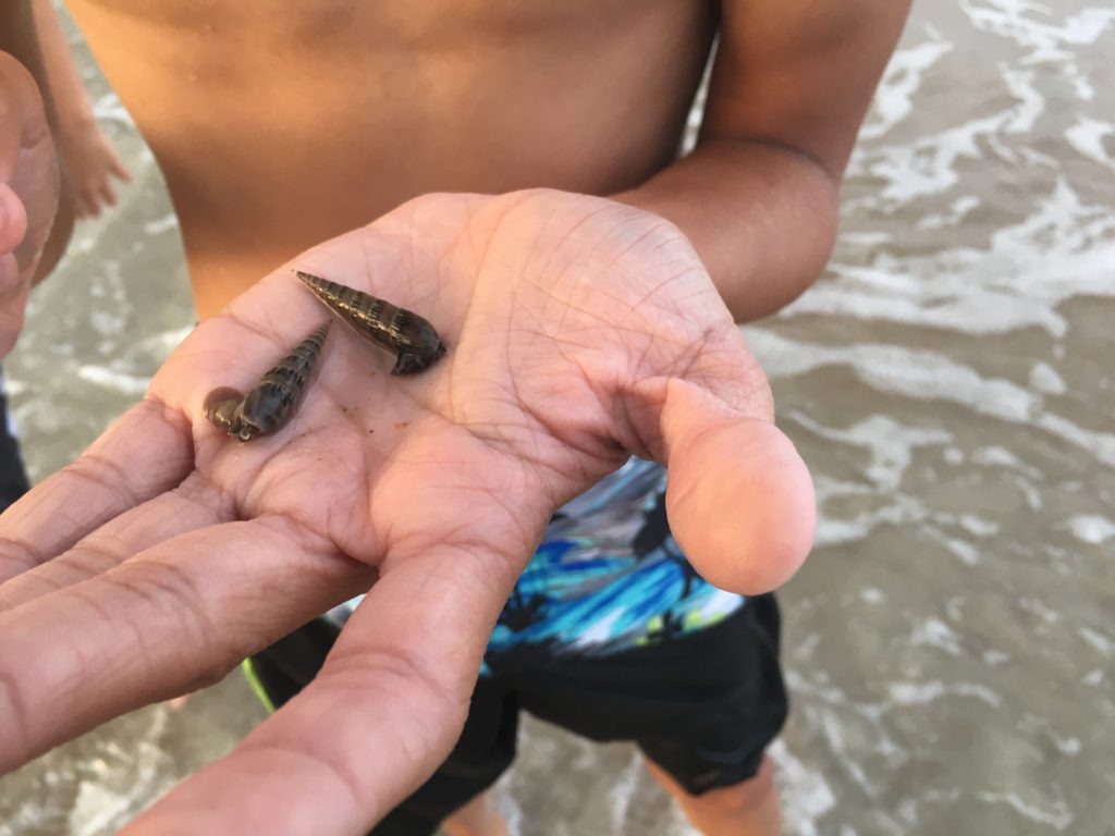8 Lessons from my 25-Day Florida Vacation