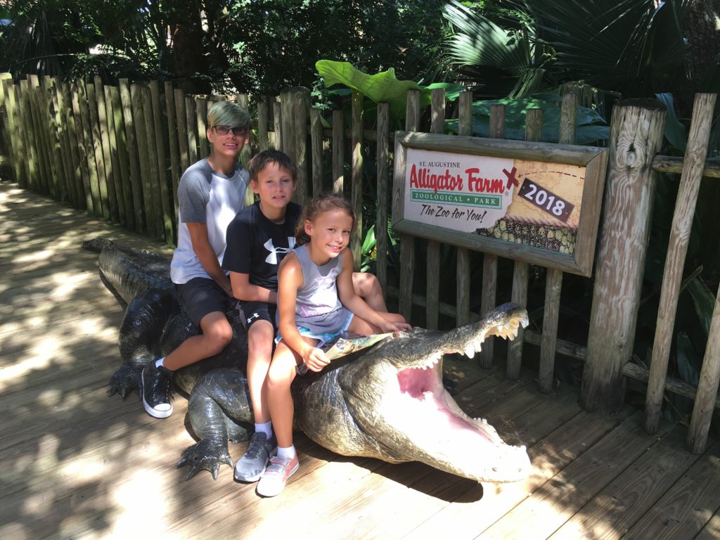 Alligators, Oddities and History in St. Augustine