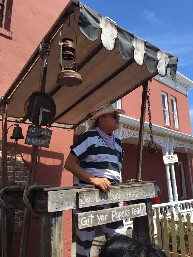 Alligators, Oddities and History in St. Augustine