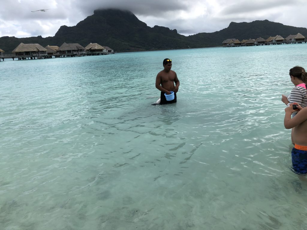 a man standing in water with a bucket in his hand