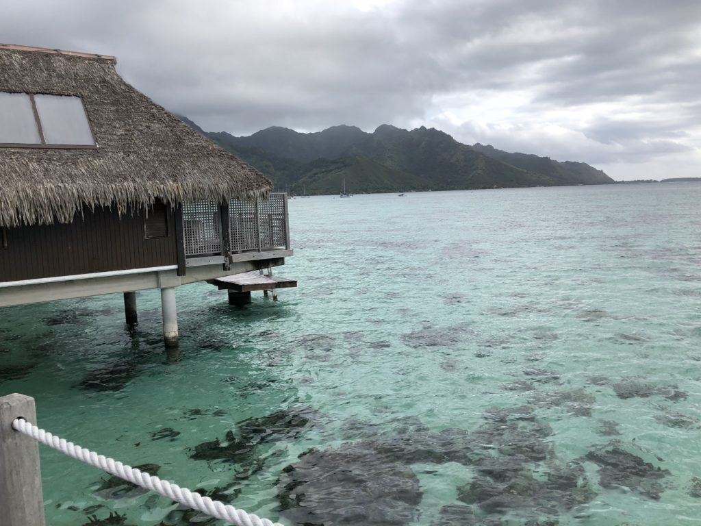 a hut on the water