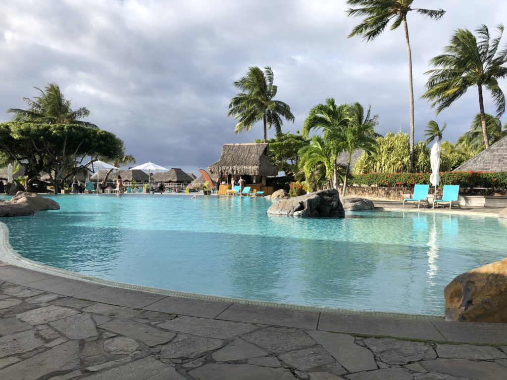 a pool with a thatched roof and palm trees