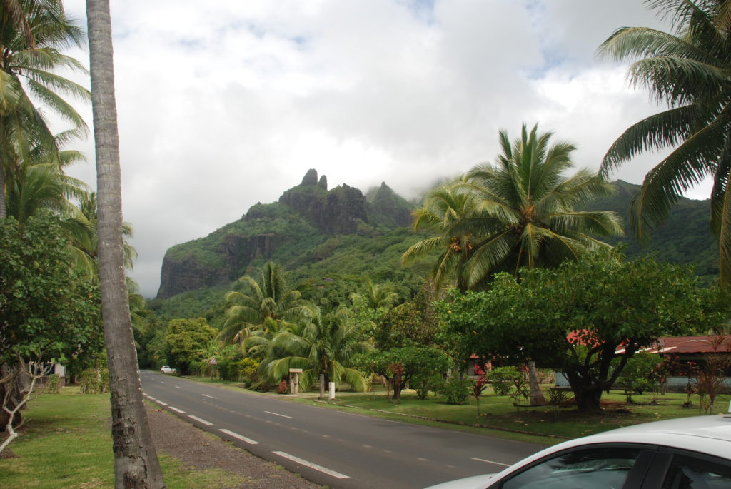 a road with palm trees and mountains in the background