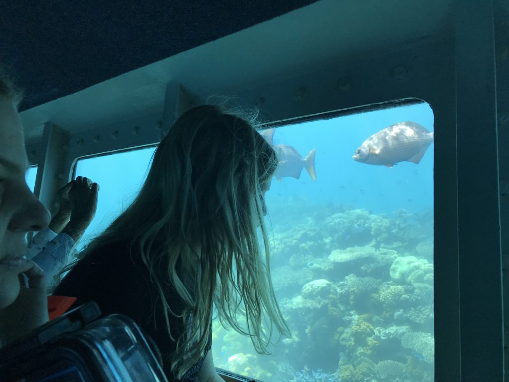 a woman looking at fish in a window