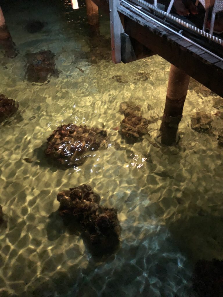 a rock in the water