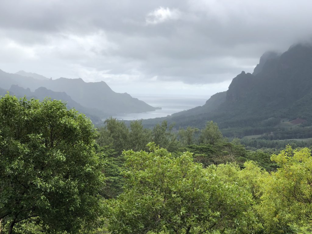 a view of a valley with mountains and water