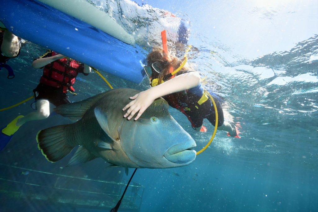 a person in a scuba gear holding a fish