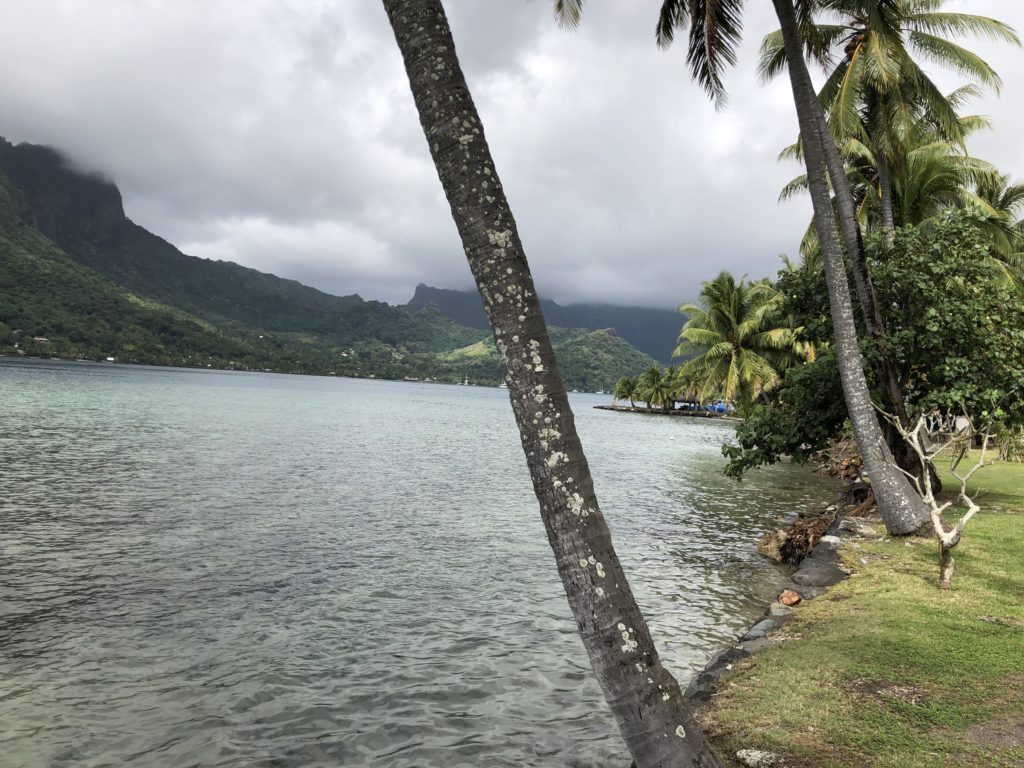 a body of water with trees and mountains in the background