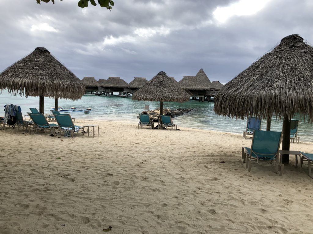 a beach with chairs and umbrellas