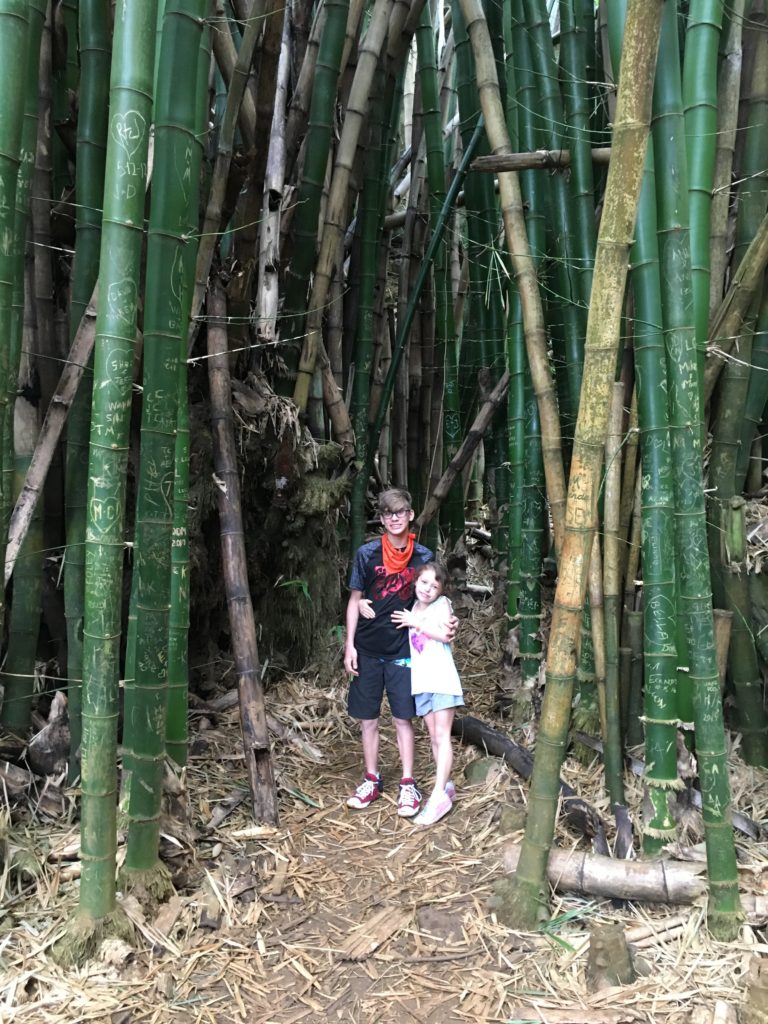 Top Two Kauai Excursions Worth the Splurge