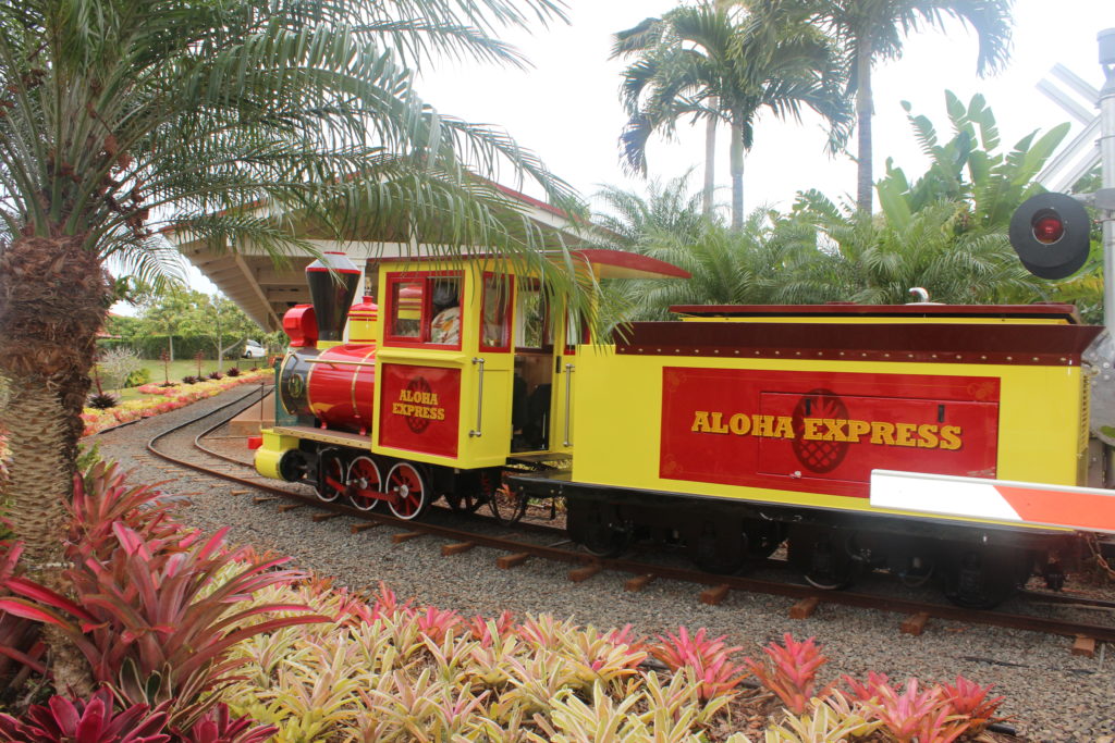 Top 10 Family Activities on Oahu