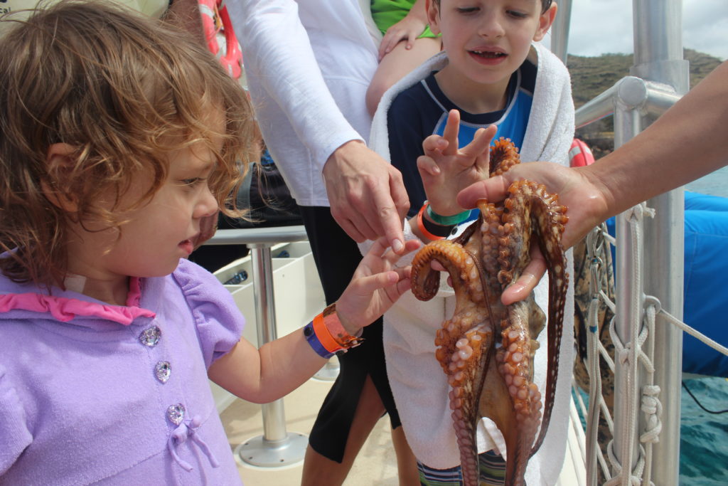 Top 10 Family Activities on Oahu