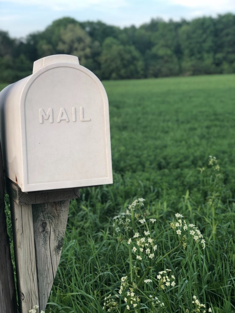 Considering Two Targeted Snail Mail Credit Card Offers