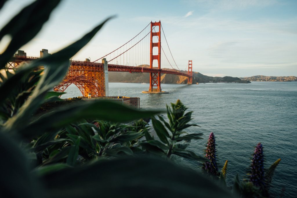 Jealous/Not Jealous of Business Trips