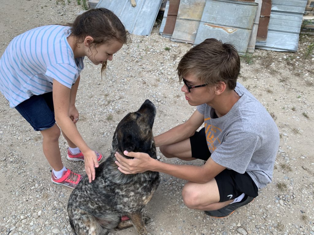 a boy and girl petting a dog