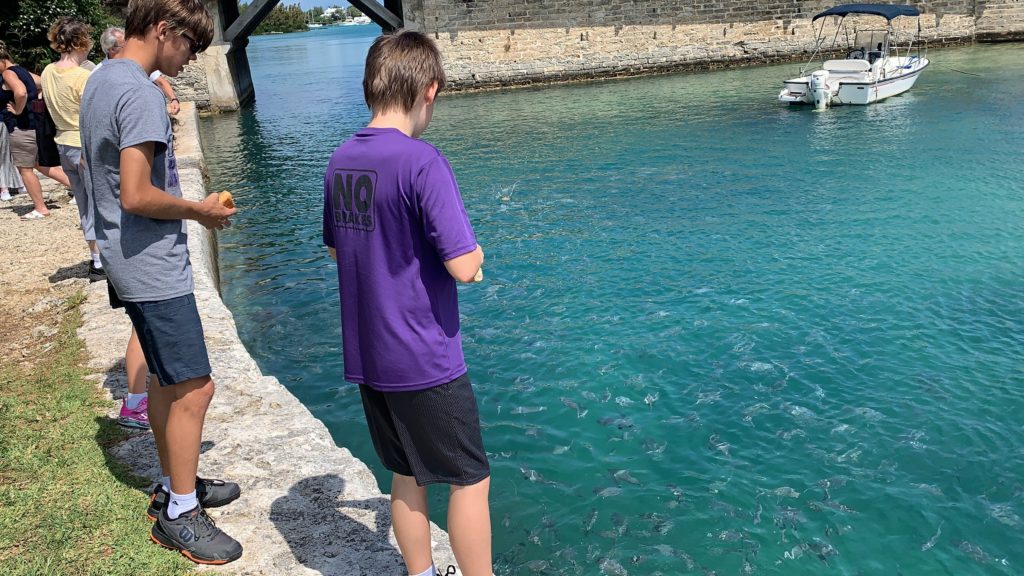 Bermuda: Underrated Cruise Port?