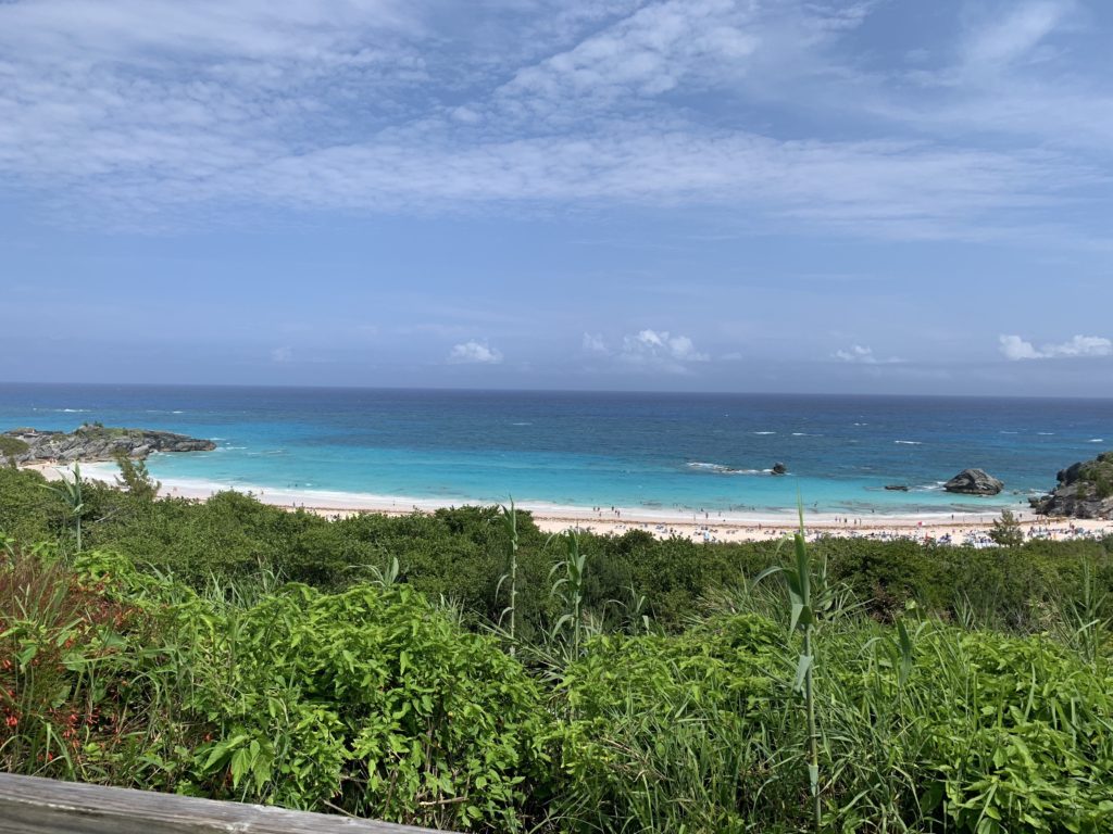 a beach with trees and blue water