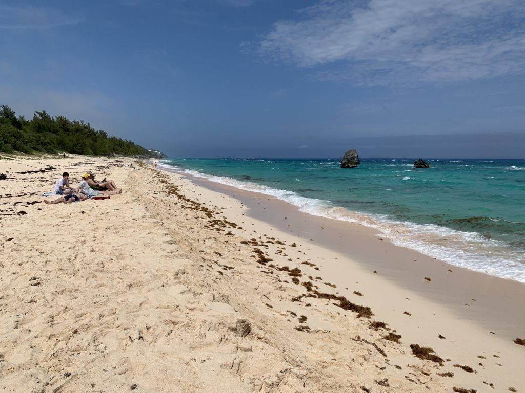 people on a beach