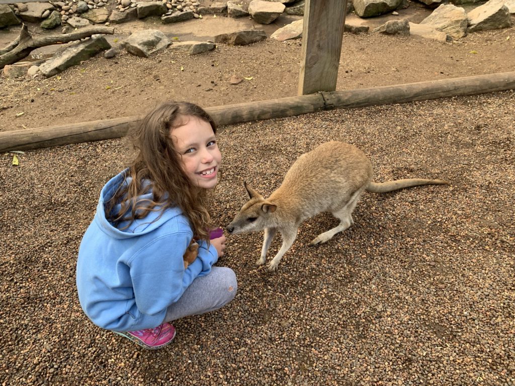 a girl petting a kangaroo