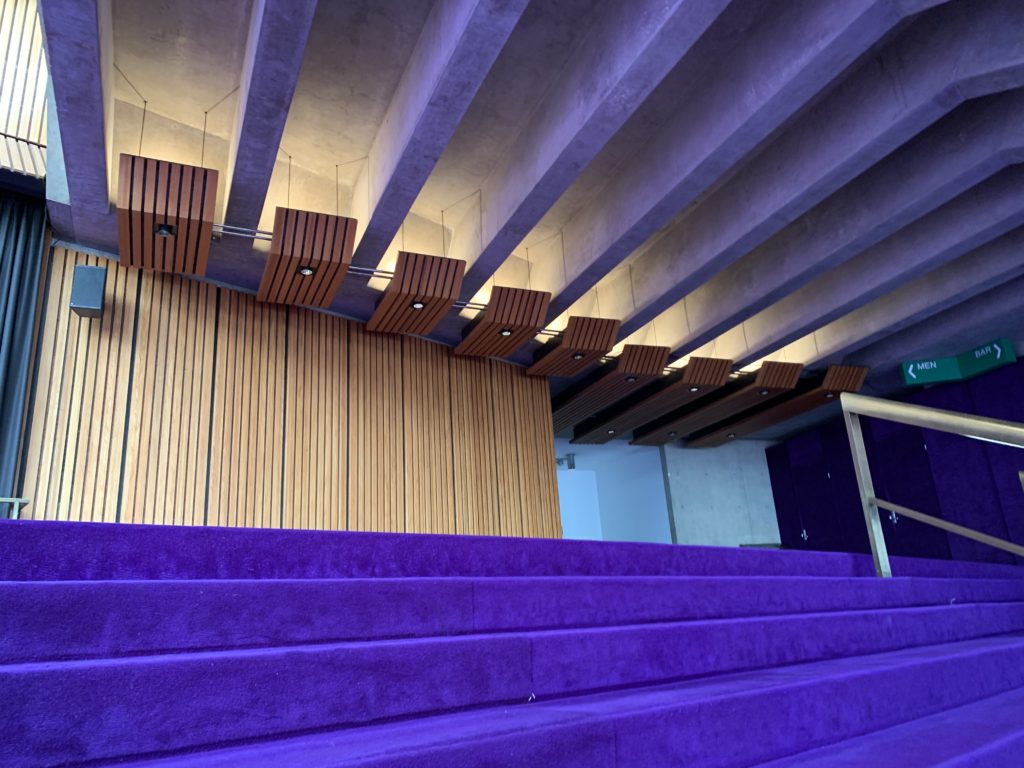 a blue carpeted stairs in a room