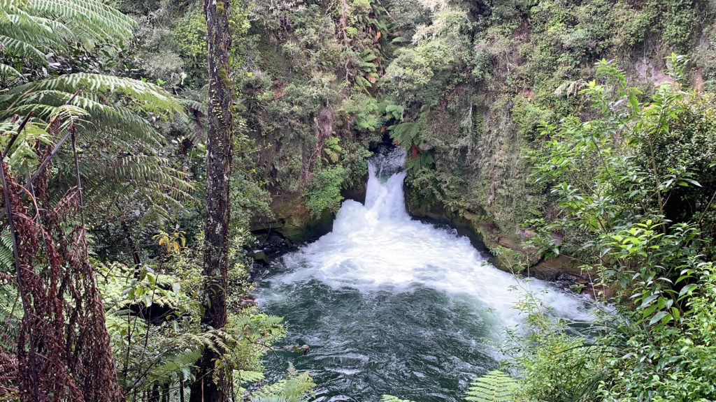 a waterfall in a forest