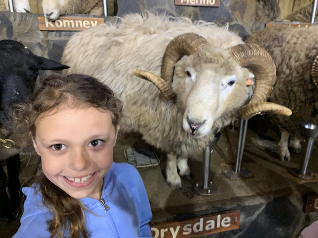 a girl taking a selfie with a group of animals