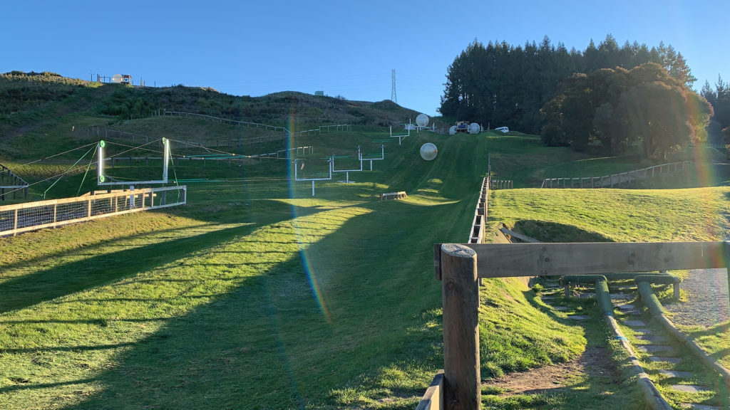 a grass field with white balls