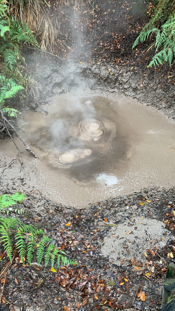 a mud pool with steam coming out of it