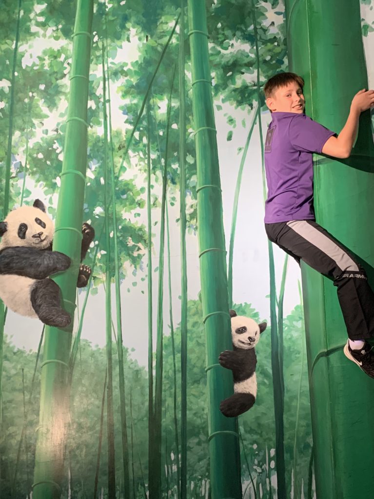 a boy climbing on a tree