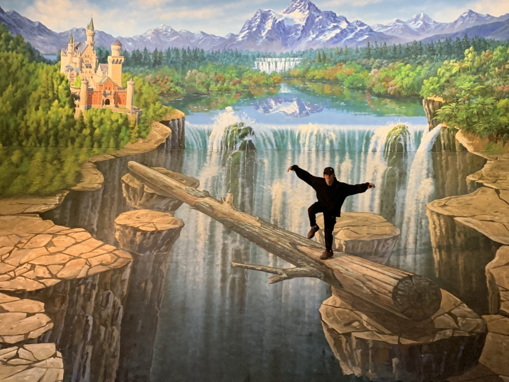 a man standing on a log in front of a waterfall