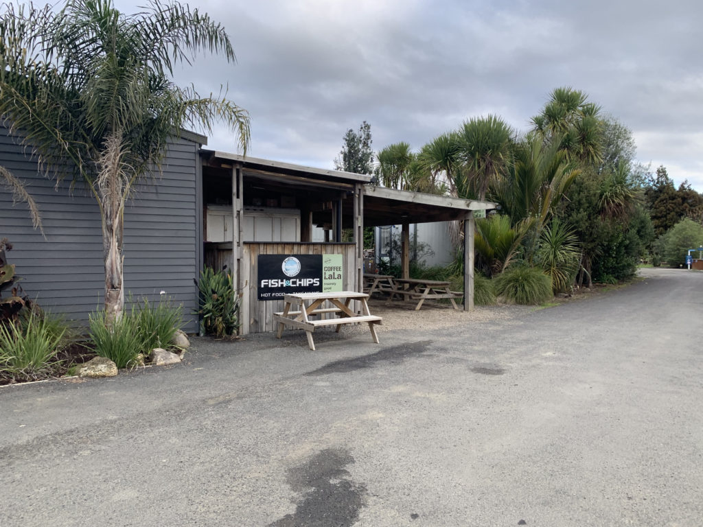 Camping in New Zealand