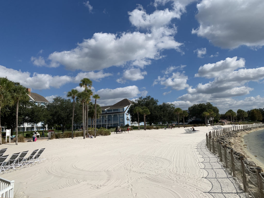 a beach with palm trees and a fence