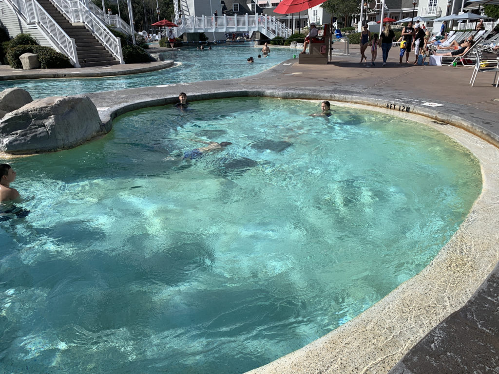 people swimming in a pool