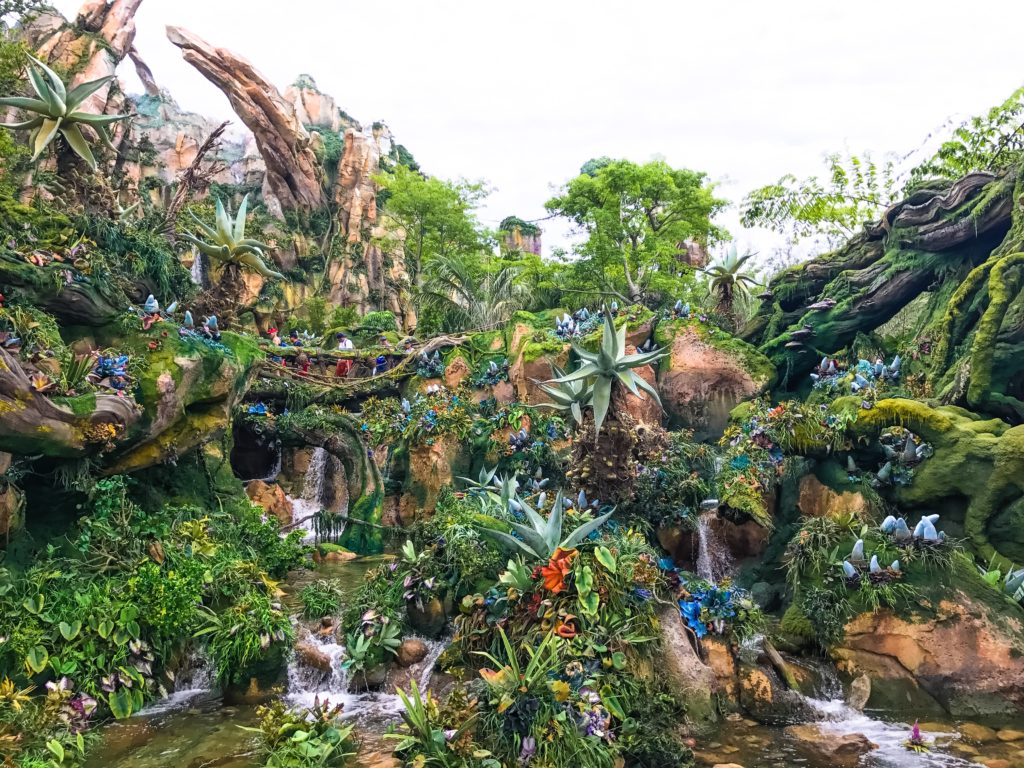 a group of people sitting on a bridge over rocks with plants