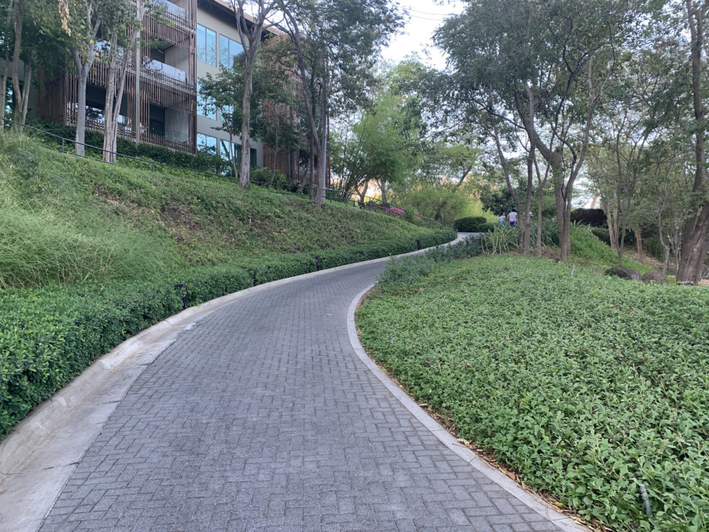 a brick road with trees and bushes on the side