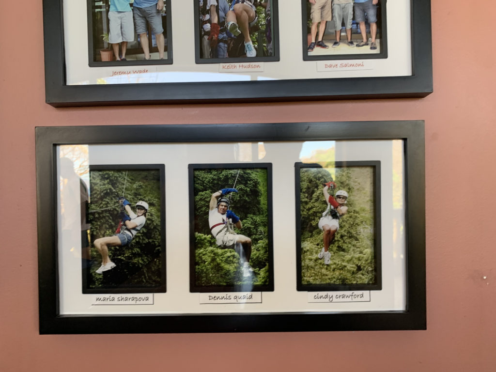 a group of pictures in a frame