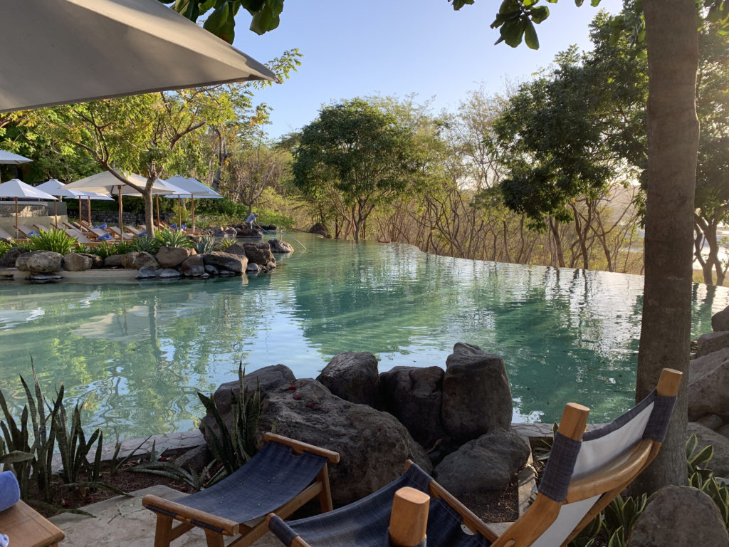 a pool with chairs and trees